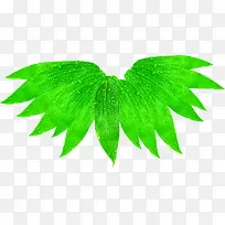 绿色树叶翅膀造型