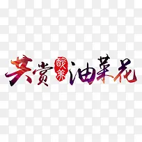 共赏油菜花