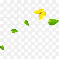 绿色清新漂浮树叶黄色树叶造型蝴蝶