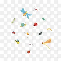 手绘各种小昆虫图