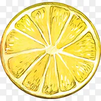 手绘水果片柠檬片装饰
