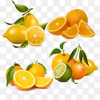 柠檬和脐橙