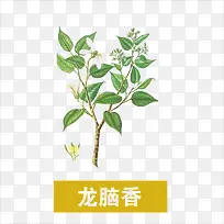 草药