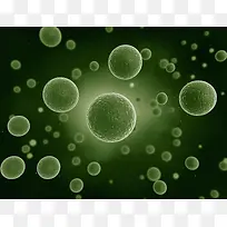 细胞细菌