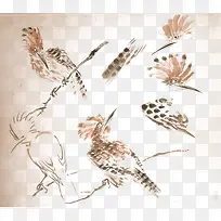 枝头鸟