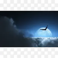 夜晚月亮乌云鸟类背景矢量背景