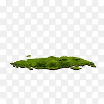 绿色草坪地图形状