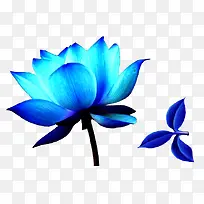 花卉