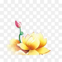 莲花