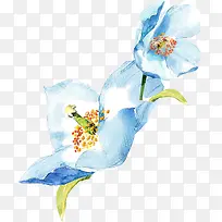 手绘水彩绘画蓝色花卉绿叶