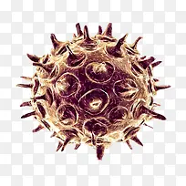 生物医学病毒细胞图形