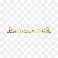 草地花朵