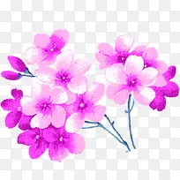 紫色水彩模糊花朵