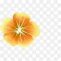黄色烂漫花朵手绘