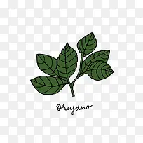 手绘草药图片