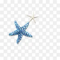 蓝色白色五角星海星，贝壳类，海