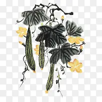 蔬菜食物