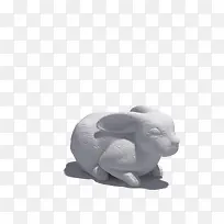 小兔子