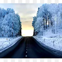 冬季公路森林雪景