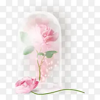 粉色花枝漂亮透明瓶子