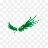 绿色翅膀