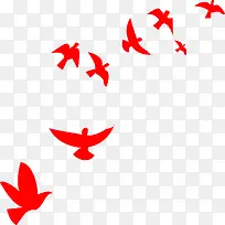 飞舞的红色鸽子鸟类