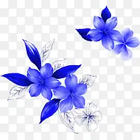 牡丹花纹