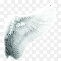 白色翅膀唯美背景