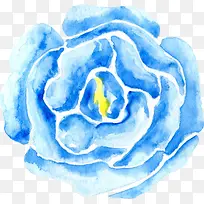 手绘鲜花