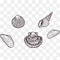 手绘海鲜类贝壳线稿