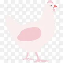 粉色的母鸡