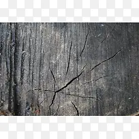 木板裂缝背景