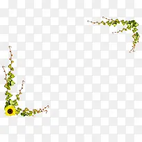 植物框