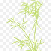 粽子节绿色水彩竹子竹叶