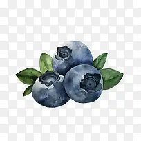 手绘卡通水果蓝莓