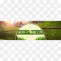 新茶上市banner素材