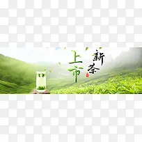 新茶上市茶叶文化网站PSD分层