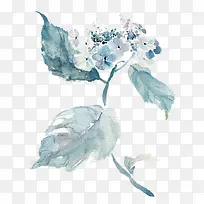 蓝色水墨画花朵叶片手绘插画