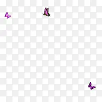 漂浮的紫色蝴蝶