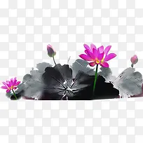 中秋节手绘黑墨荷叶花朵