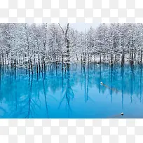蓝色水面上的白色树林海报背景
