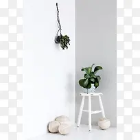 白色墙壁绿色植物