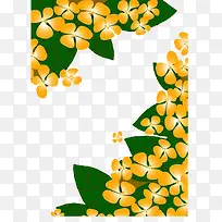 八月桂花
