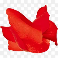 红色花朵装扮天猫电器