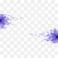 紫色漂浮的花瓣
