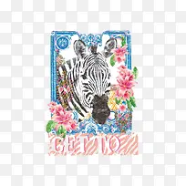 水彩斑马