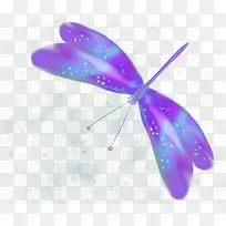 炫彩蝴蝶