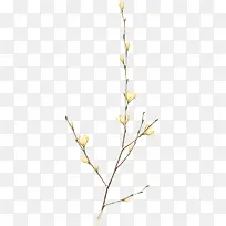 细枝素材图片