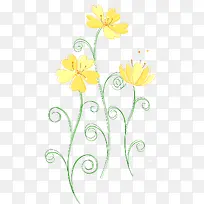 黄花线条