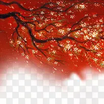 红色枫林枫叶